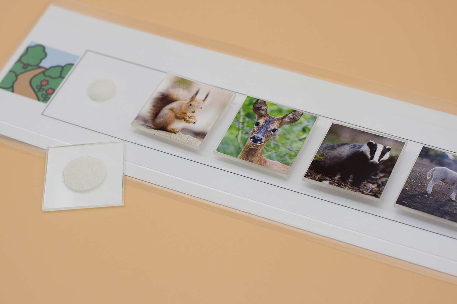 Lernformat-Streifen „Landtiere“ – Bild 3