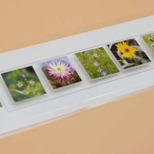 Lernformat-Streifen „Blumen“